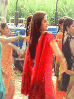 /album/photo-gallery-photogallery/nl13-gif/