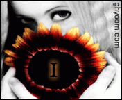 /album/photo-gallery-photogallery/noor-018-gif/