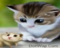 /album/mix-wallpaper/cat-n-mouse220x176-donwap-com-jpg/